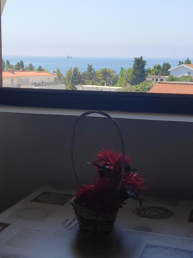 Vitic Appartement *